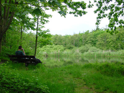 eendenkooi op Vlieland