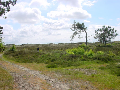 heidegebied bij Hoorn