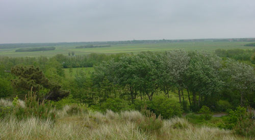 uitzicht over de polder