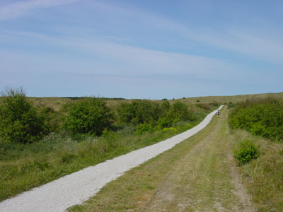 duingebied vlieland